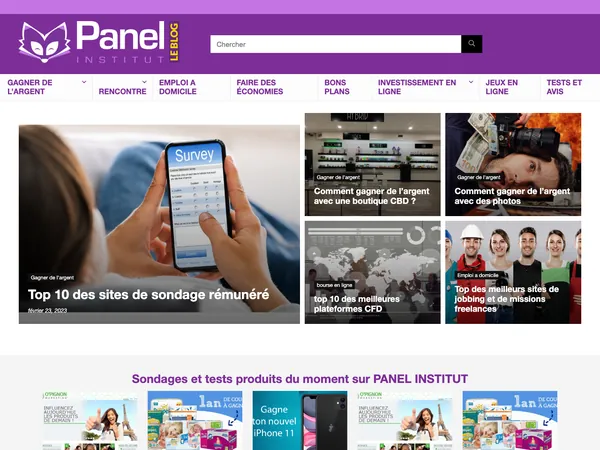 Page d'accueil de Panel Institut