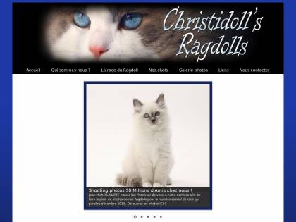 Elevage Familial De Chats De Race Loof Ragdolls