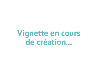 L Histoire En Citations Une Citation Historique Chaque Jour