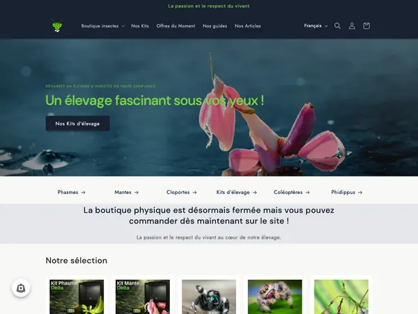 Page d'accueil de L'insecterie