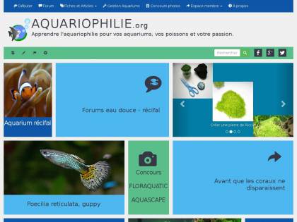 Association Aquariophilieorg Toute Laquariophilie Pour
