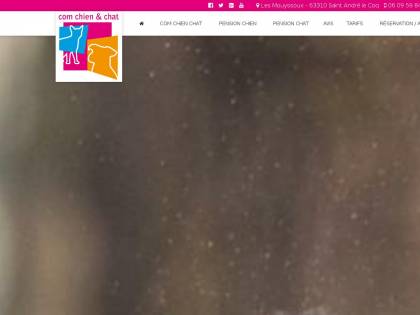 Com Chat Et Chien Pension Pour Chiens Et Chats En Auvergne