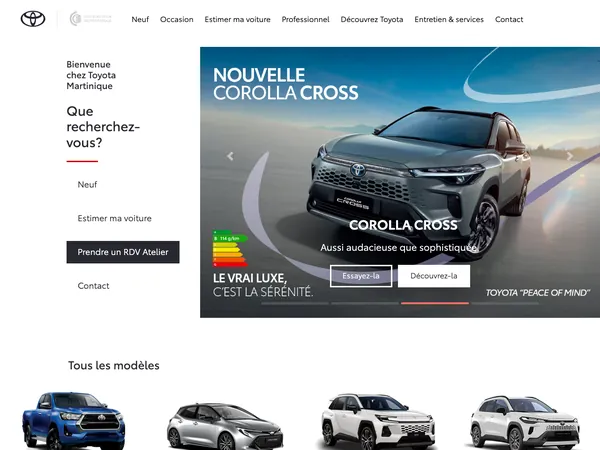Page d'accueil de CCIE - Martinique