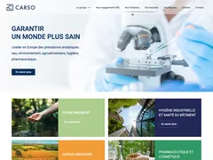 Groupe Carso