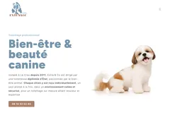 Extra & Co Toilettage