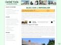 Central Visite