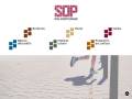 SAS Sud-Ouest pavage
