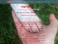 Dogs Addiction - éducation comportement canin