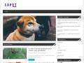 lapetavenue.com