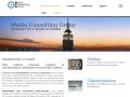 Media Consulting group