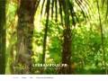 lesbambous.fr