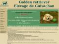 golden-retriever.fr