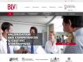 blv-consulting-group.com