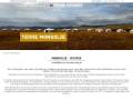 Voyage Mongolie
