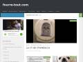 fourre-tout.com