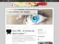 robin-aventure.over-blog.com