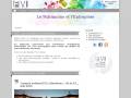 FVI - Patrimoine & Entreprise