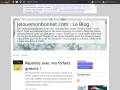 jelouemonbonnet.over-blog.com