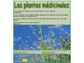Les plantes médicinales
