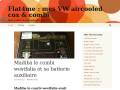 Flat4me : mes VW aircooled cox et combi