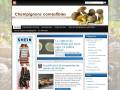 Champignons comestibles