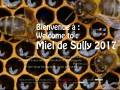 Miel de Sully