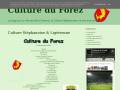 Culture du forez