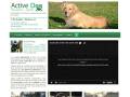 Active Dog