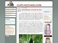 Chat Nozamis, le portail du chat