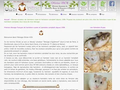 Le hamster russe et hamster campbell